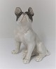 Königliches 
Kopenhagen. 
Porzellanfigur. 
Französische 
Bulldogge. 
Modell 
1452-956. Höhe 
16,5 cm. ...