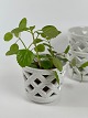 Gunnar Nylund for Rörstrand, set of three off-white chamotte flowerpots. The pots are all signed ...