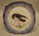 1212-3002 Fish 
Platter 24 cm 
Homarus 
vulgaris 
(European 
lobster) 
Painted like 
Fauna Danica & 
...