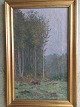 Klicken Sie 
auf ein 
Foto, um 
das große 
Bild sehen