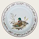Mads Stage, 
Jagt Porzellan, 
Speiseteller, 
Mallard, 27 cm 
Durchmesser 
*Guter Zustand*