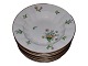 Royal 
Copenhagen 
Bellis & 
Coltsfoot on 
Angular shape, 
large soup 
plate.
&#8232;This 
product ...