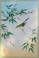 Ashikaga, Shizud (1917-1991) Japan: Ein Vogel, der auf einem blühenden Zweig sitzt. Holzschnitt ...