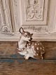 Klicken Sie 
auf ein 
Foto, um 
das große 
Bild sehen