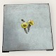 Bing & 
Gröndahl, 
Apollon mit 
Tussilago#600, 
Tischset, 15cm 
/ 15cm 
*Gebrauchter 
Zustand*