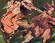 Klicken Sie 
auf ein 
Foto, um 
das große 
Bild sehen