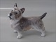 Dahl Jensen 
Hund 1149 Cairn 
Terrier (DJ) 
14.8 cm 1. I 
hel og fin 
stand