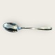 Ascot
Dessert spoon
Sterling silver
300 DKK