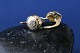 14 karat gold 
earrings
with clear 
stone, stamped 
585 OW