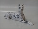 Royal 
Copenhagen dog 
1679 Harlequin 
Grand Danois 
11.5 x 21 cm 
Designed Peter 
Herold 1914  In 
...