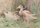 John Murray 
Thompson 
(1885-1974), 
British artist. 
...
