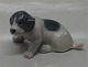 Royal 
Copenhagen 1311 
RC Pointer 
puppy Designed 
by Erik Nielsen 
1911 5 x 11 cm 
New # 096 In 
mint ...