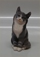 Royal 
Copenhagen 1803 
RC Cat by A 
Nielsen 13 cm  
In mint and 
nice condition 
Pussicat - 
Kitten Kitty