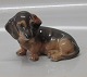 Royal 
Copenhagen 3140 
RC Dachshund 
Sitting. Th. 
Madsen 10 cm  
In mint and 
nice condition 
Dachel Dog