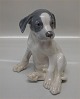 Royal 
Copenhagen dog 
0259 Large 
Pointer Puppy 
Erik Nielsen 
1900 20 cm 
(051). In mint 
and nice ...
