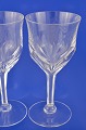 Oreste Glas-Service Rotwein Gläser