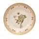 Royal 
Copenhagen 
Flora Danica 
Teller 3550. 
"Dryas ...