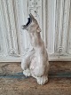 Klicken Sie 
auf ein 
Foto, um 
das große 
Bild sehen