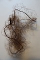 Antik Haarnetz
Ein Haarnetz aus Haar von Persons gemacht
In gutem stande