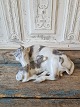 Klicken Sie 
auf ein 
Foto, um 
das große 
Bild sehen