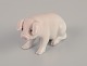 Bing & 
Grøndahl, rare 
porcelain 
figurine of a 
piglet.