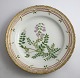 Royal 
Copenhagen 
Flora Danica. 
Mittagessen 
Platte. Entwurf 
# 3550. 
Durchmesser 22 
cm. (1 Wahl). 
...