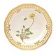 Flora Danica 
plate 3554. 
"Papaver 
rudicaule L.". 
1. ...