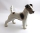 Bing & 
Gröndahl. 
Porzellanfigur. 
Rauhaariger 
Foxterrier. 
Modell 1998. 
Höhe 14 cm. (2. 
Wahl)