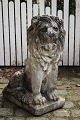Klicken Sie 
auf ein 
Foto, um 
das große 
Bild sehen