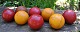 Collection of 
old billiard 
balls, 19/20. 
thC. A total of 
8 pcs.
NB: Only sold 
together.