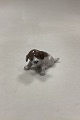 Klicken Sie 
auf ein 
Foto, um 
das große 
Bild sehen