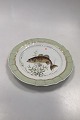 Royal 
Copenhagen Grøn 
Fisketallerken 
No 919/1710 med 
...