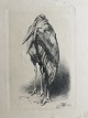Klicken Sie 
auf ein 
Foto, um 
das große 
Bild sehen