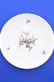 Rosenthal 
Romanze in Moll 
Essteller