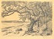 Henriques, 
Frans (1882 - 
1956) Dänemark: 
Opus 4. Nr. 4 
von 25, 1927. 
Kohle auf 
Papier. 
Signiert: ...