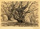 Henriques, 
Frans (1882 - 
1956) Dänemark: 
Opus 3. 1927. 
Kohle auf 
Papier. 
Signiert: FH 27 
und Op. ...
