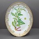 Royal 
Copenhagen, 
Flora Danica; 
Dish