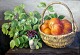 Thornam, Emmy 
(1852 - 1935) 
Dänemark: 
Arrangement mit 
...