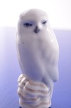 Bestellnummer: 597421