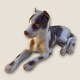 Bing & 
Gröndahl, 
Deutsche Dogge 
Nr. 2190, 14 cm 
breit, 7 cm 
hoch, 1. 
Klasse, Design 
Svend ...