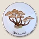 Bing & 
Gröndahl, 
Pilzteller/Untersetzer, 
Pholiota 
mutabilis 
#3517/ 949, 15 
cm Durchmesser 
...
