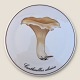 Bing & 
Gröndahl, 
Pilzteller/Untersetzer, 
Cantharellus 
cibarius Nr. 
3513/949, 15 cm 
Durchmesser ...