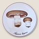 Bing & 
Gröndahl, 
Pilzteller/Untersetzer, 
Agaricus 
bisporus Nr. 
3516/949, 15 cm 
Durchmesser ...