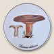 Bing & 
Gröndahl, 
Pilzteller/Untersetzer, 
Lactarius 
deliciosus Nr. 
3514/949, 15 cm 
Durchmesser ...