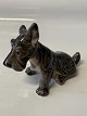 Dahl Jensen 
Figure of 
Scottish 
Terrier Dog
Height: 7 cm.
Factory First
Decoration 
number: ...