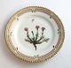 Royal 
Copenhagen 
Flora Danica. 
Kuchenteller. 
Entwurf # 3552. 
Durchmesser 14 
cm. (1 Wahl). 
Silene ...