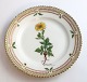 Royal 
Copenhagen 
Flora Danica. 
Kuchenteller. 
Entwurf # 3552. 
Durchmesser 14 
cm. (1 Wahl). 
...