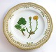 Royal 
Copenhagen. 
Flora Danica 
Teller. 
Durchmesser 25 
cm. (3553). (1 
Wahl). 
Tussilago 
farfara L