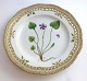 Royal 
Copenhagen. 
Flora Danica 
Teller. 
Durchmesser 25 
cm. (3553). (1 
Wahl). Viola 
uliginosa 
Schrad