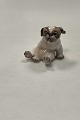 Klicken Sie 
auf ein 
Foto, um 
das große 
Bild sehen